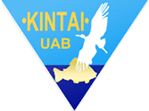 Kintai